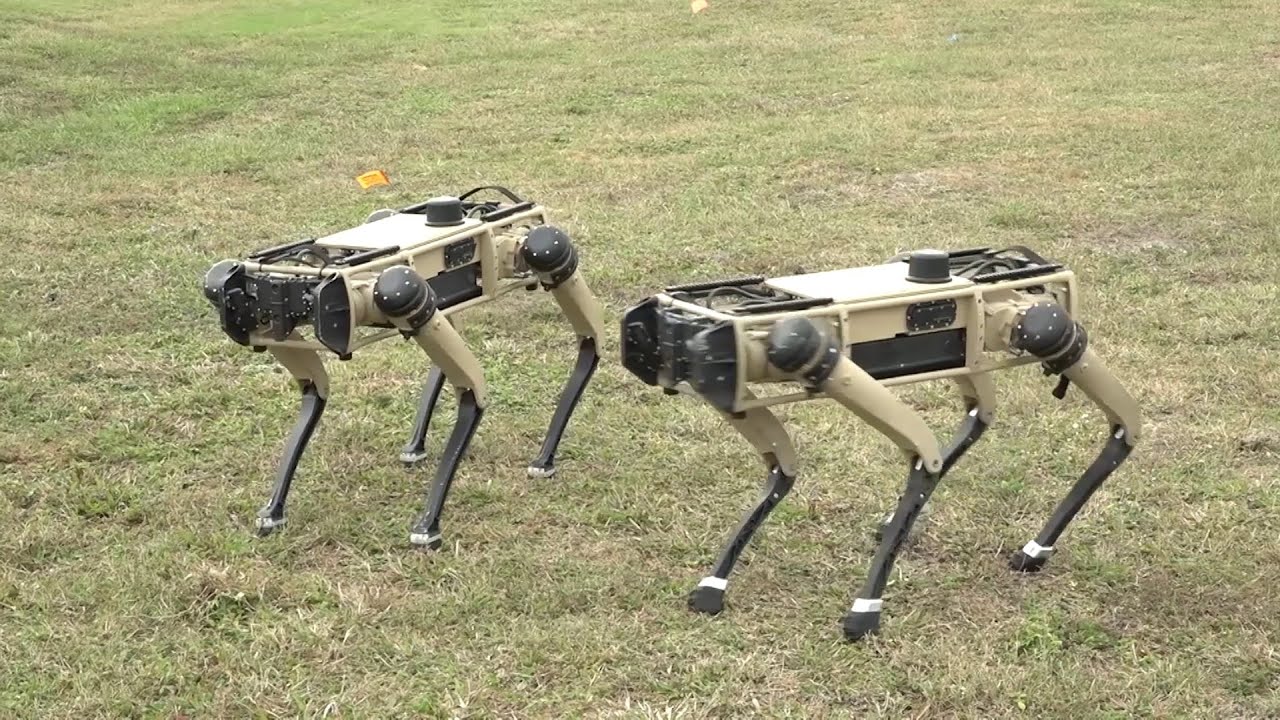 Tyndall 'Robot Dogs' Demonstration